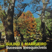 Fui o Primeiro - Sulino e Marrueiro 